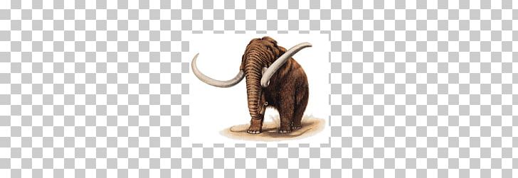 Indian Elephant Mammoth Wildlife Terrestrial Animal PNG, Clipart, Animal, Animal Figure, Animals, Elephant, Elephants And Mammoths Free PNG Download