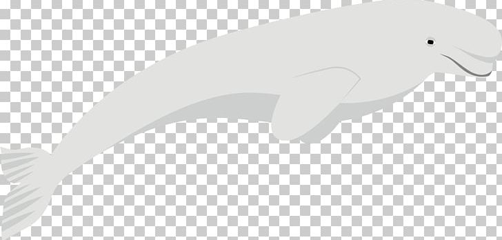 Beak White Marine Mammal Black PNG, Clipart, Angle, Animal, Animals, Background White, Beak Free PNG Download