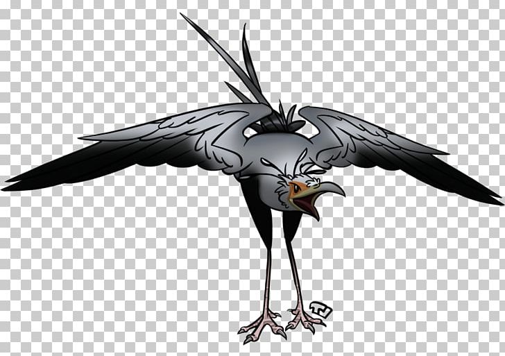 Eagle Secretarybird Vulture PNG, Clipart, Animal, Animals, Beak, Bird, Bird Of Prey Free PNG Download