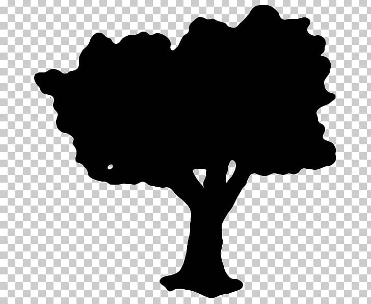Tree Black Silhouette White PNG, Clipart, Black, Black And White, Black M, Flowering Plant, Leaf Free PNG Download