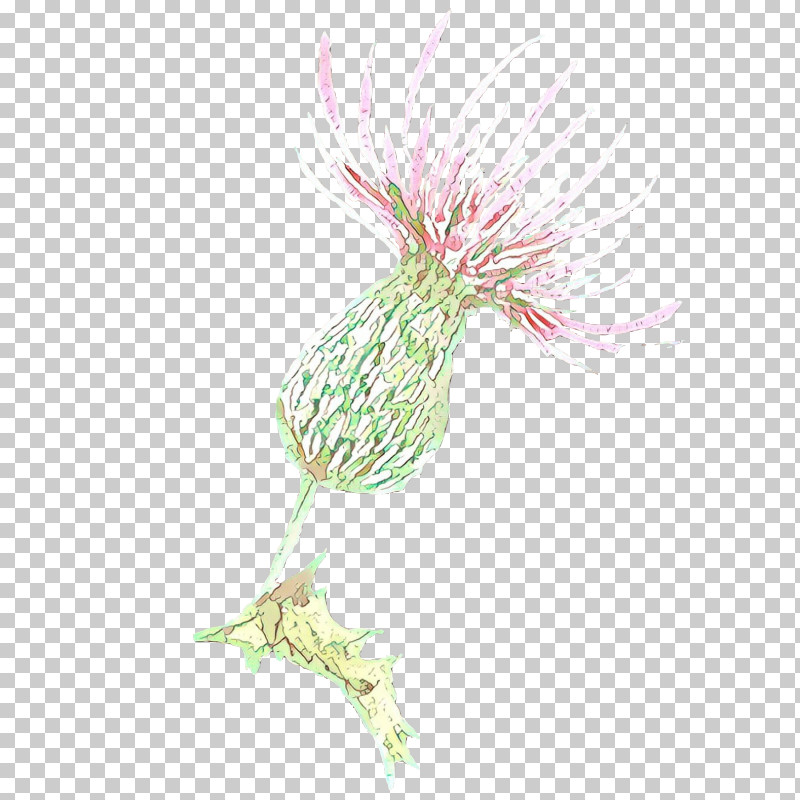 Pink Plant Flower Thistle PNG, Clipart, Flower, Pink, Plant, Thistle Free PNG Download