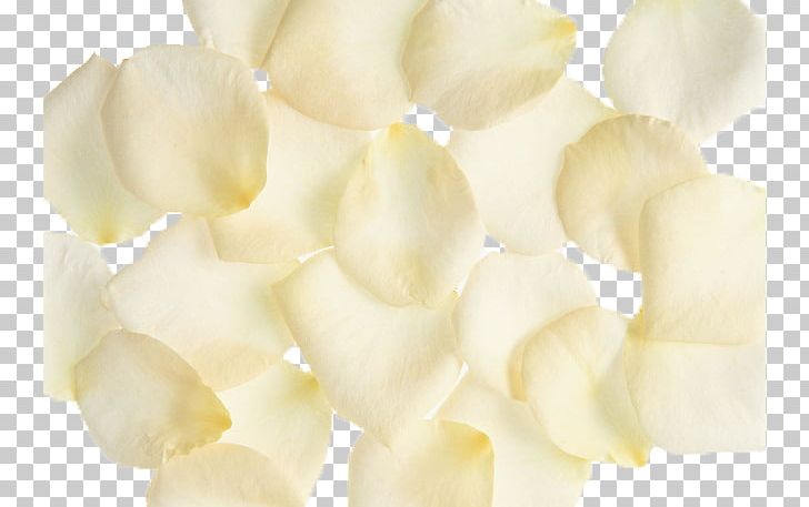 Petal PNG, Clipart, Banana Chips, Chip, Chips, Crunchy, Designer Free PNG Download