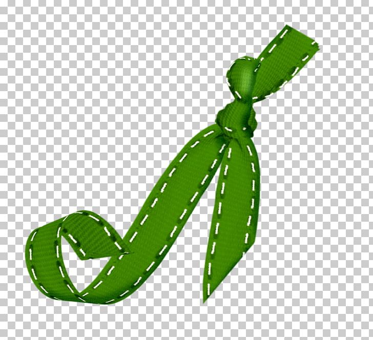 Ribbon Shoelace Knot PNG, Clipart, Background Green, Bow, Bow Ribbon, Data, Data Compression Free PNG Download