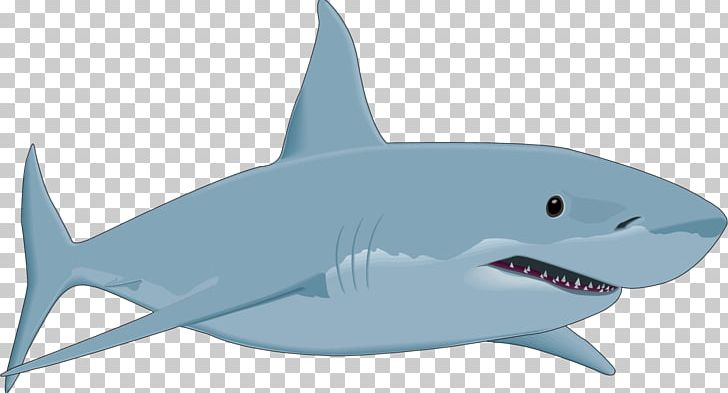 Great White Shark PNG, Clipart, Animals, Bull Shark, Cartilaginous Fish, Clip Art, Download Free PNG Download