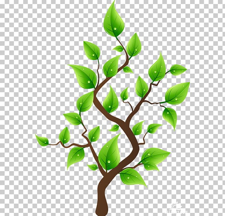 Tree Drawing Flowerpot PNG, Clipart, Branch, Drawing, Flower, Flowerpot, Garden Free PNG Download