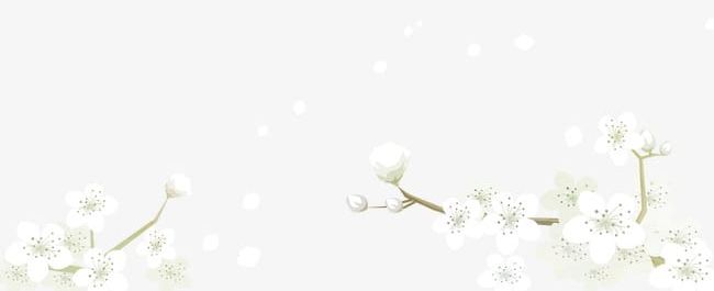 White Flowers PNG, Clipart, Creative, Creative White Flowers, Flowers, Flowers Clipart, Painted Free PNG Download