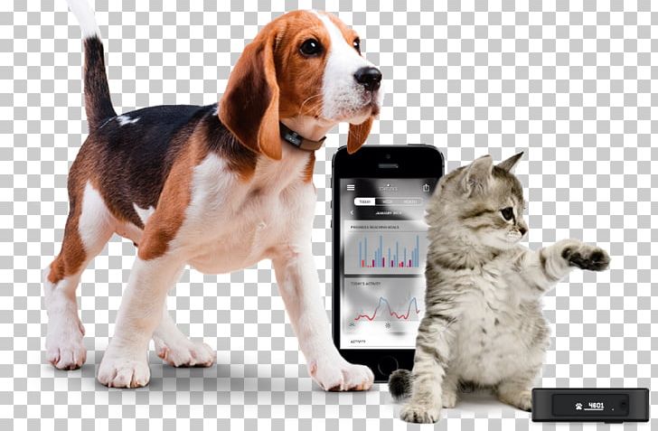 Cat Dog Pet Global Positioning System Activity Tracker PNG, Clipart, Animals, Beagle, Cat, Cat Like Mammal, Collar Free PNG Download