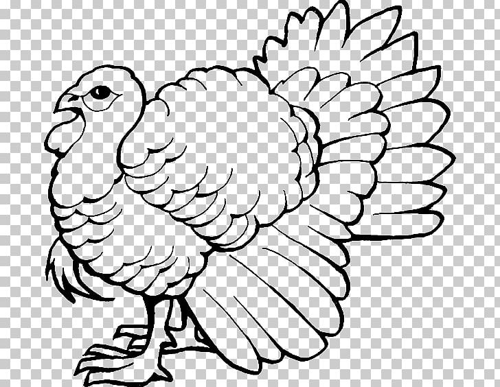 Coloring Book Turkey Drawing Child PNG, Clipart, Adult, Area, Art, Beak, Bird Free PNG Download
