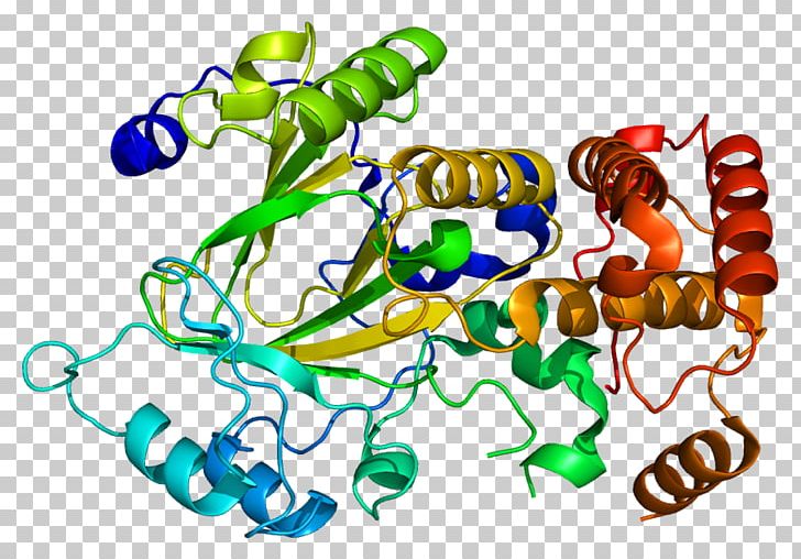 KDM2A Demethylase Protein Alpha-ketoglutarate-dependent Hydroxylases Histone PNG, Clipart, Artwork, Body Jewelry, Demethylase, Enzyme, Fbox Protein Free PNG Download