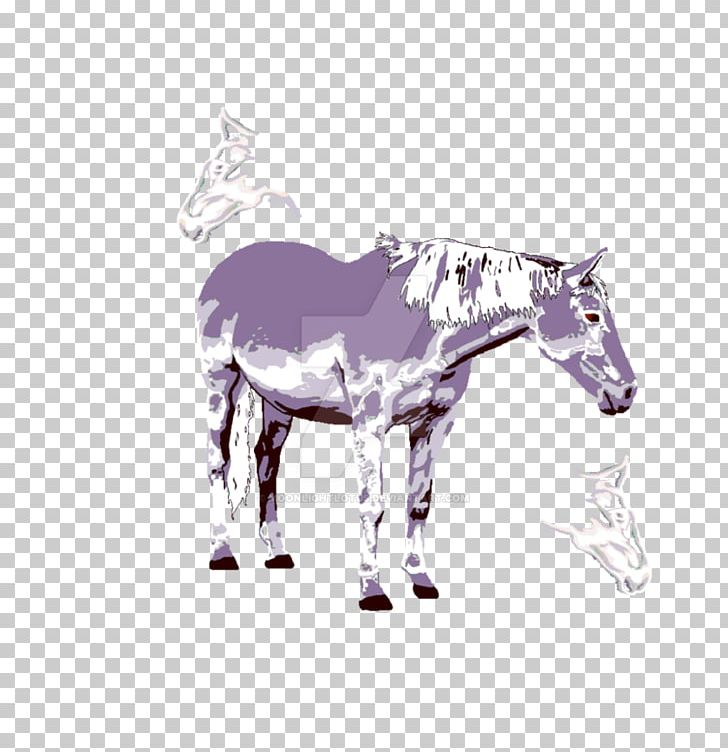 Mule Mustang Foal Stallion Colt PNG, Clipart, Bridle, Colt, Donkey, Foal, Halter Free PNG Download