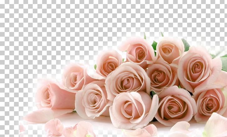 Rose Flower Bouquet Valentines Day Pink PNG, Clipart, Blue, Blue Rose, Canvas, Christmas Decoration, Cut Flowers Free PNG Download