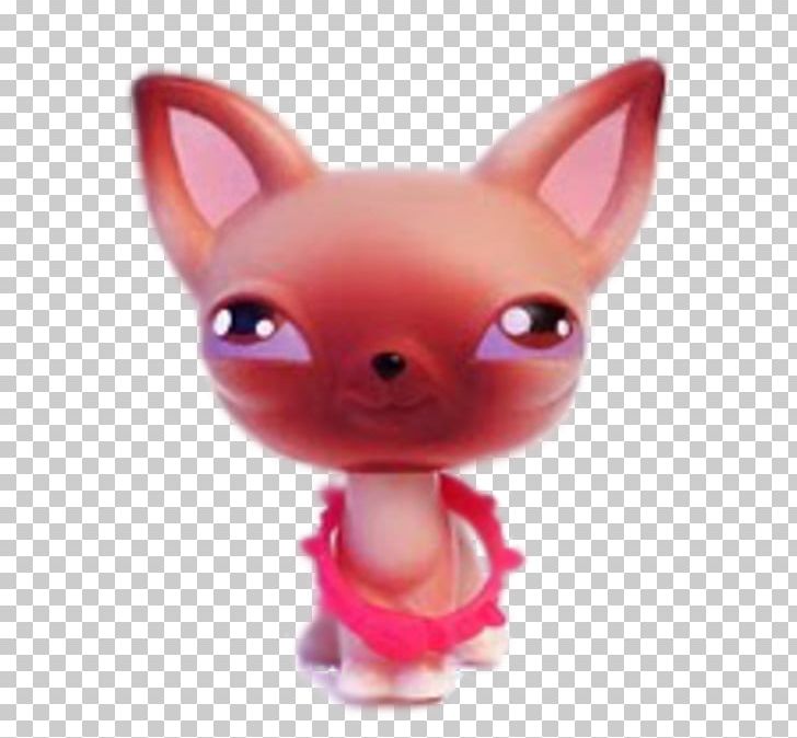 Chihuahua Littlest Pet Shop Cat PNG, Clipart, Animal Rescue Group, Animals, Carnivoran, Cat, Chihuahua Free PNG Download