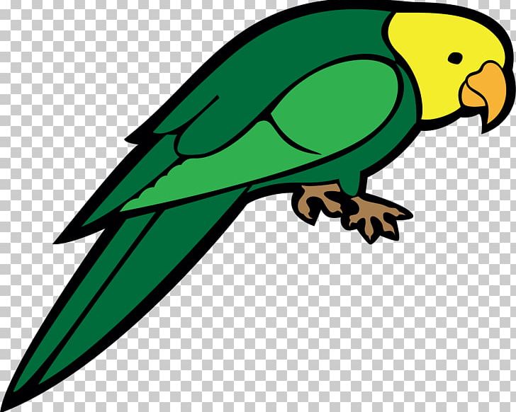 Parrot Bird PNG, Clipart, Animals, Artwork, Background Green, Balloon Cartoon, Beak Free PNG Download