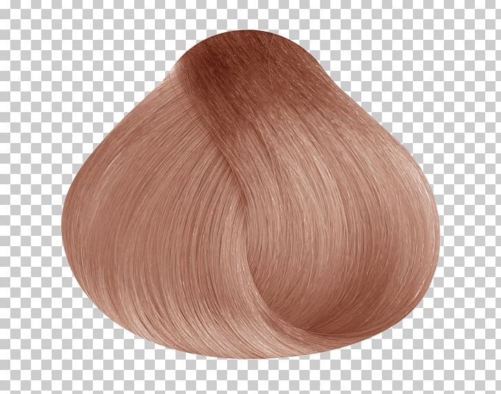 Rose Human Hair Color Lightness Gold PNG, Clipart, Blond, Blue, Brown, Caramel Color, Color Free PNG Download