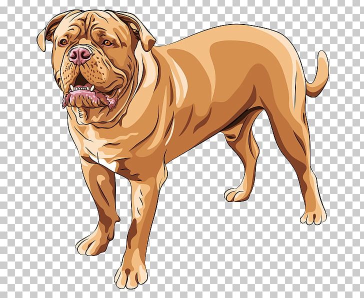 Dogue De Bordeaux English Mastiff Bulldog Cane Corso Neapolitan Mastiff PNG, Clipart, Ancient Dog Breeds, Breed, Bulldog, Bullmastiff, Cane Corso Free PNG Download