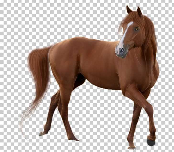Horse Pixel PNG, Clipart, Animals, Bit, Brown Background, Brown Rice, Colt Free PNG Download