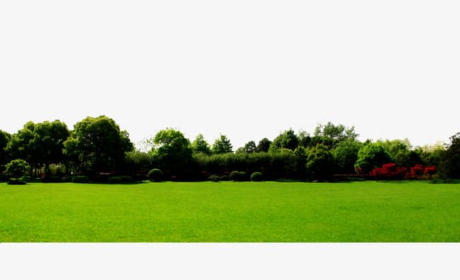 Green Grass Background PNG, Clipart, Background, Corner, Garden, Garden  Corner, Grass Clipart Free PNG Download