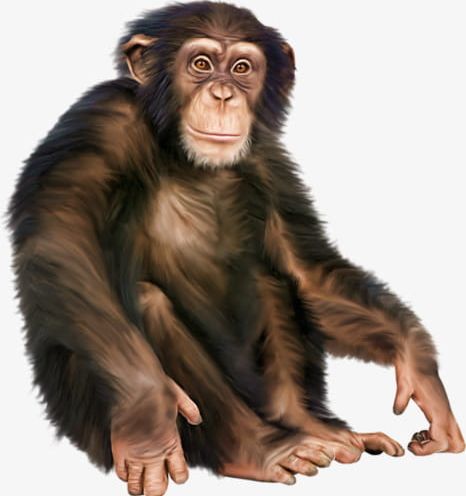 Hand-painted Chimp PNG, Clipart, Animal, Animal Themes, Animal Wildlife, Ape, Chimpanzee Free PNG Download