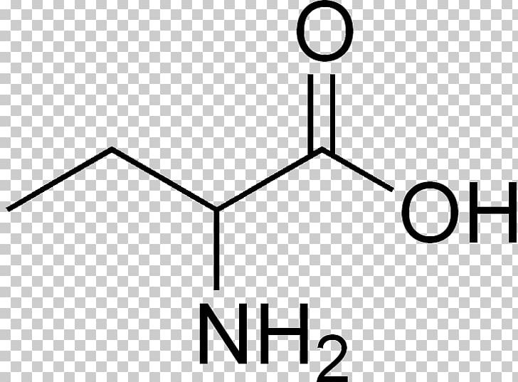 Amino Acid Cyclohexanecarboxylic Acid Alpha-Aminobutyric Acid PNG, Clipart, Acetic Acid, Acid, Alphaaminobutyric Acid, Amine, Amino Acid Free PNG Download