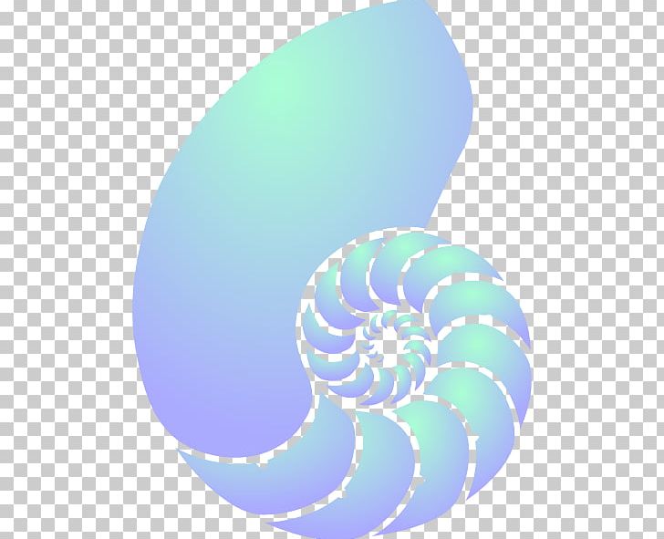 Nautilidae Seashell Chambered Nautilus PNG, Clipart, Aqua, Bluegreen, Blue Shell, Chambered Nautilus, Circle Free PNG Download