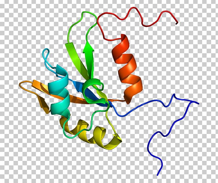 The Akamba In British East Africa Outlines Of A Tharaka Grammar Protein PNG, Clipart, Affleck House, Akamba In British East Africa, Area, Artwork, Boston Pizza Free PNG Download