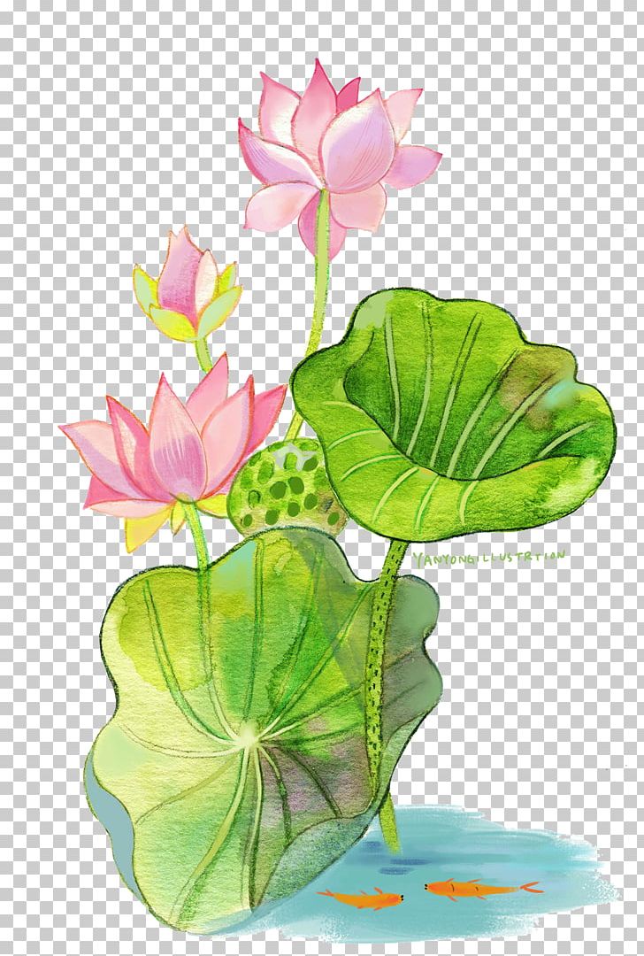 Watercolor Painting Nelumbo Nucifera PNG, Clipart, Aquarium Decor, Aquatic Plant, Download, Drawing, Flora Free PNG Download