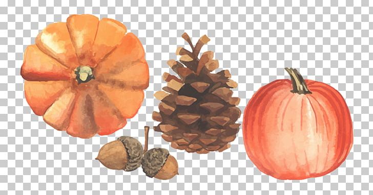 Autumn Illustration PNG, Clipart, Autumn Leaf, Autumn Leaves, Autumn Tree, Bumper, Calabaza Free PNG Download
