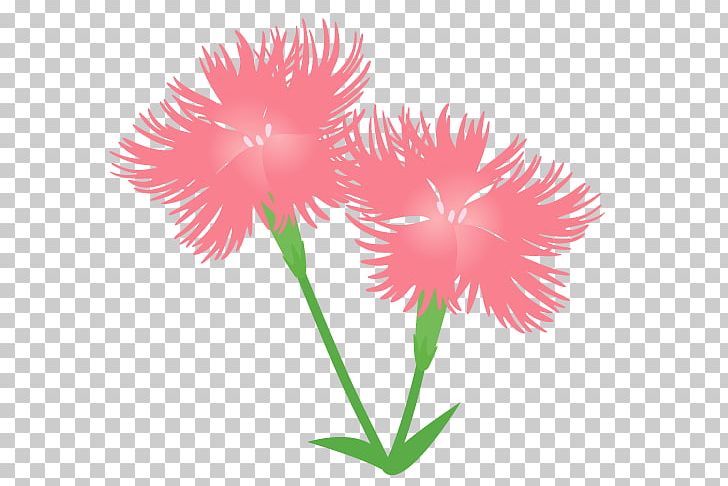 Carnation Yamato Nadeshiko Graphics Illustration Hairstyle PNG, Clipart, Annual Plant, Bangs, Beauty Parlour, Bob Cut, Carnation Free PNG Download
