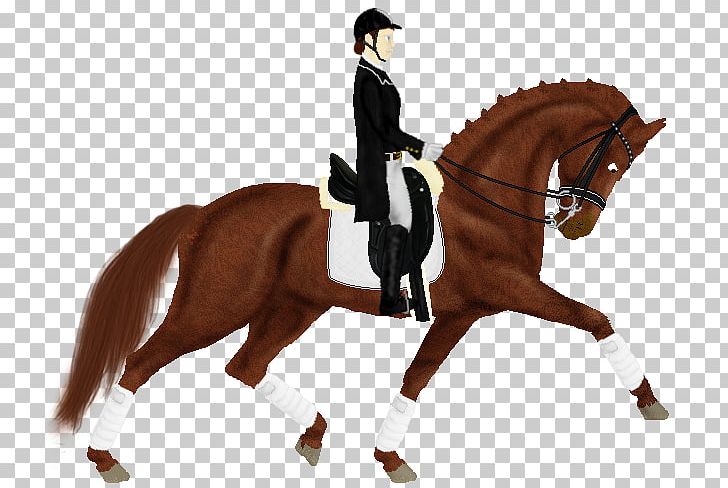 Hunt Seat Stallion Dressage Rein Mustang PNG, Clipart, Animal Training, Bit, Bridle, Dressage, Equestrian Free PNG Download