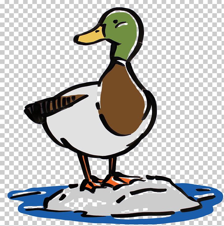 Mallard Goose Duck Beak PNG, Clipart, Animals, Artwork, Beak, Bird, Boundary Waters Free PNG Download