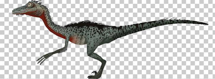 Velociraptor Animal PNG, Clipart, Animal, Animal Figure, Beak, Dinosaur, Extinction Free PNG Download
