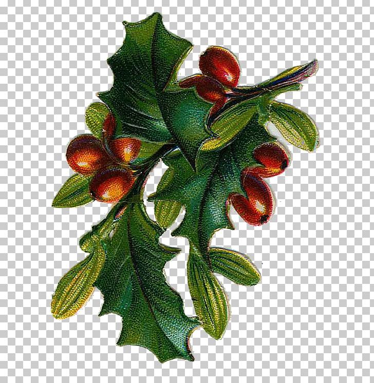 Vintage Christmas Christmas Christmas Graphics Christmas Day PNG, Clipart, Christmas Carol, Christmas Day, Christmas Graphics, Christmas Ornament, Christmas Tree Free PNG Download