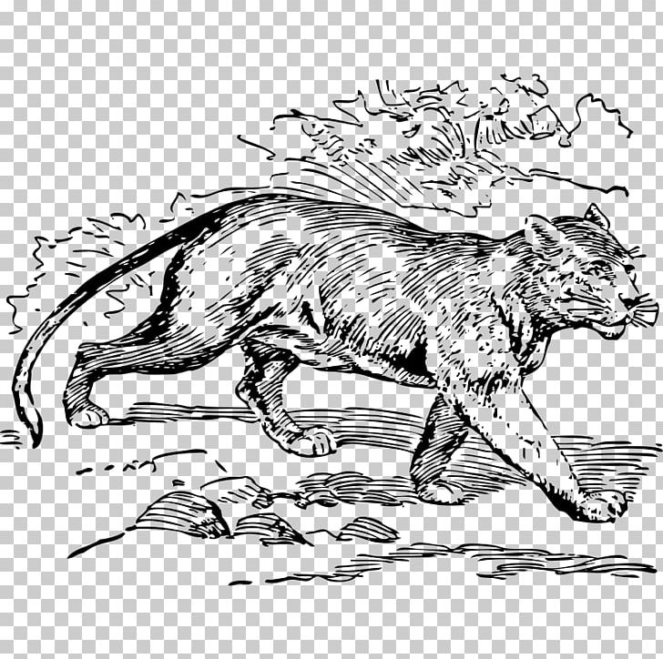 Cougar Jaguar South America Cat Black Panther PNG, Clipart, Animal, Art, Big Cats, Black And White, Black Panther Free PNG Download