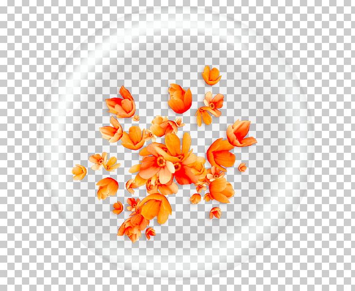 Icon PNG, Clipart, 3d Computer Graphics, Art, Background, Bubble, Computer Graphics Free PNG Download