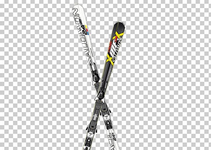 Skiing PNG, Clipart, Skiing Free PNG Download