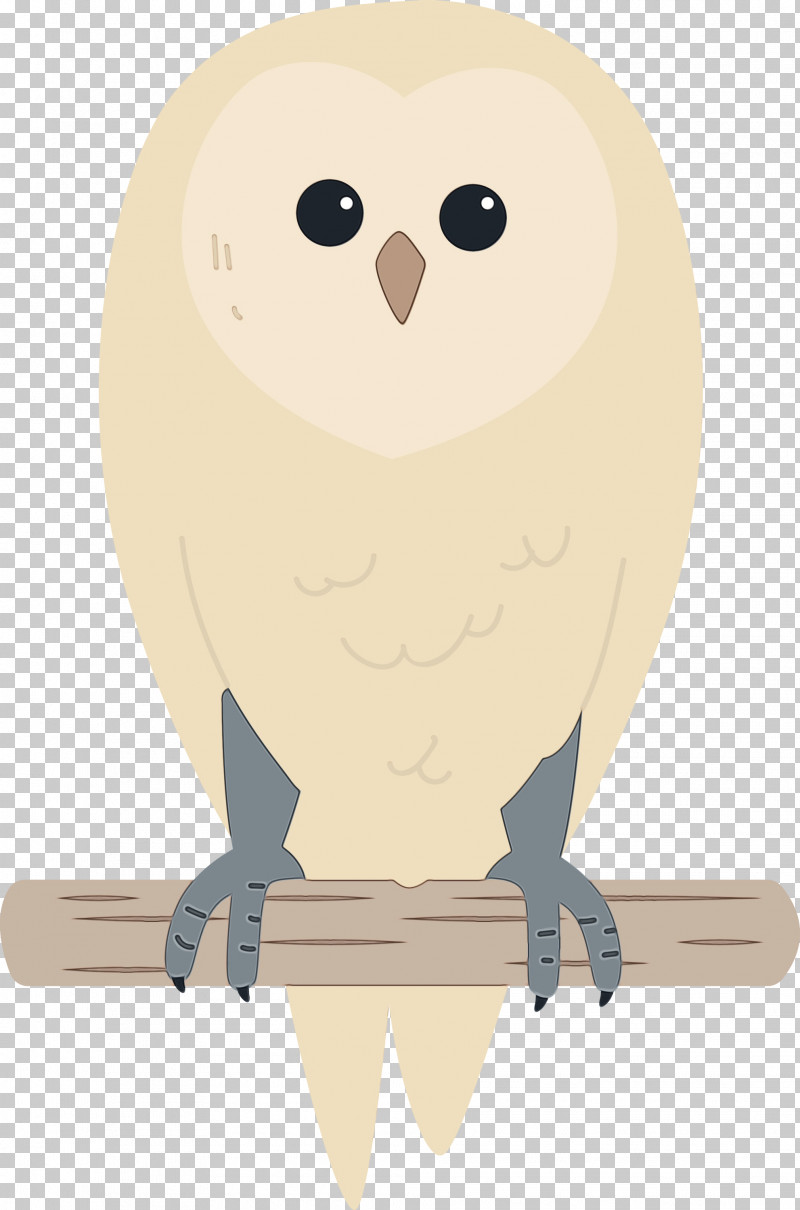 Owls Cartoon Beak PNG, Clipart, Beak, Bird, Cartoon, Cartoon Bird, Cute Bird Free PNG Download