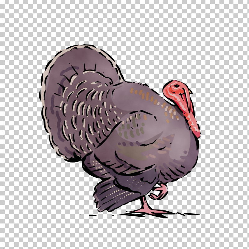 Turkey Wild Turkey Bird Cartoon Beak PNG, Clipart, Animation, Beak, Bird, Cartoon, Flightless Bird Free PNG Download