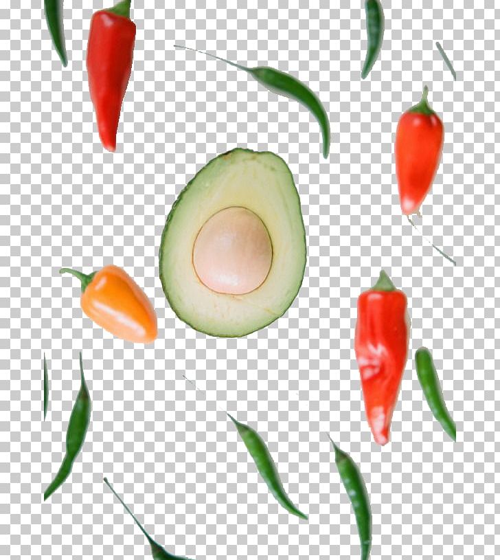 Avocado Bell Pepper Fruit PNG, Clipart, Avocado Juice, Avocados, Avocado Smoothie, Avocado Toast, Avocado Tree Free PNG Download