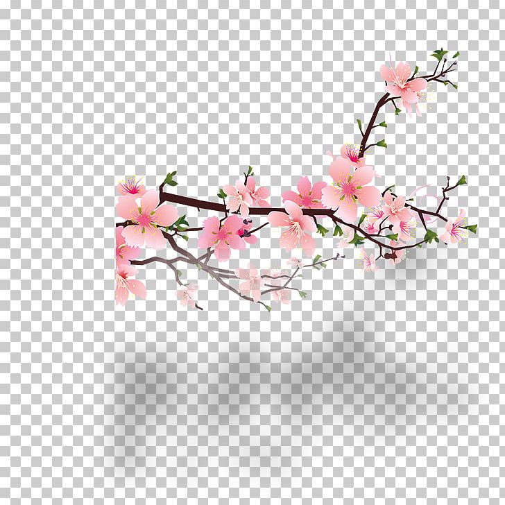 Blossom Peach PNG, Clipart, Blossom, Branch, Cherry, Cherry Blossom, Clip Art Free PNG Download