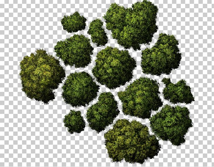 Tree Computer Icons Architecture PNG, Clipart, Architecture, Computer Icons, Grass, Landscape, Landscape Architecture Free PNG Download