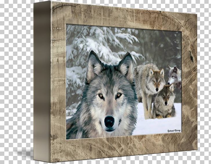 Wolfdog Coyote Gray Wolf PlayStation 4 Decal PNG, Clipart, Coyote, Decal, Dog Like Mammal, Fauna, Gray Wolf Free PNG Download