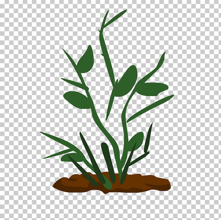 Drawing Technique Plant Stem PNG, Clipart, Aquarium Decor, Branch, Commodity, Drawing, English Free PNG Download