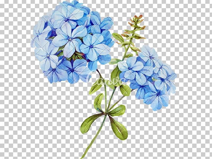 Flower Bouquet Blue Jasmine Stock Photography PNG, Clipart, Blue, Blue Rose, Color, Cornales, Cut Flowers Free PNG Download