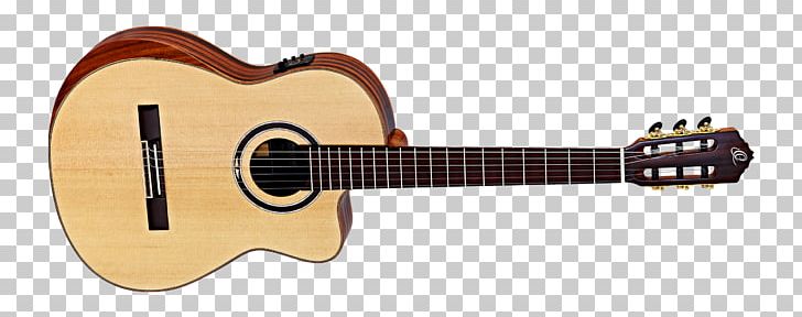 Takamine Guitars Acoustic Guitar Classical Guitar Gig Bag PNG, Clipart, Acoustic Electric Guitar, Classical Guitar, Cuatro, Cutaway, Guitar Accessory Free PNG Download