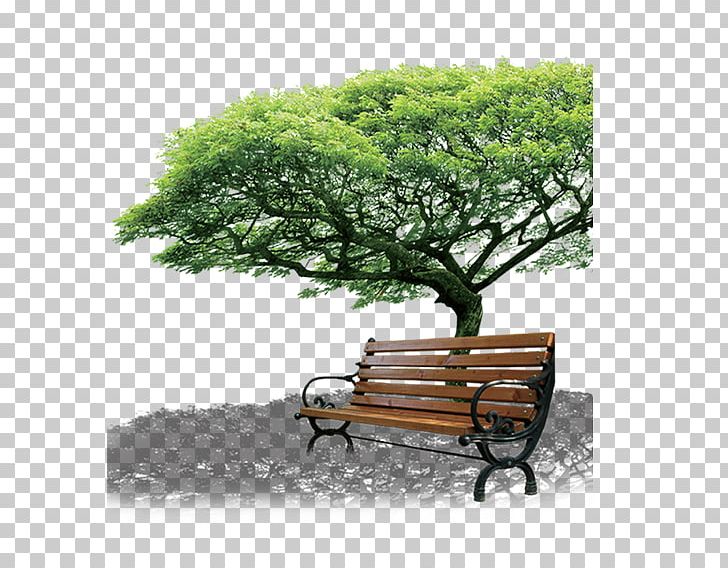 Chair Shangqiu PNG, Clipart, Board, Chair, Christmas Tree, Class, Download Free PNG Download