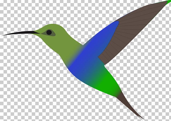 Hummingbird PNG, Clipart, Beak, Bird, Blackchinned Hummingbird, Document, Download Free PNG Download