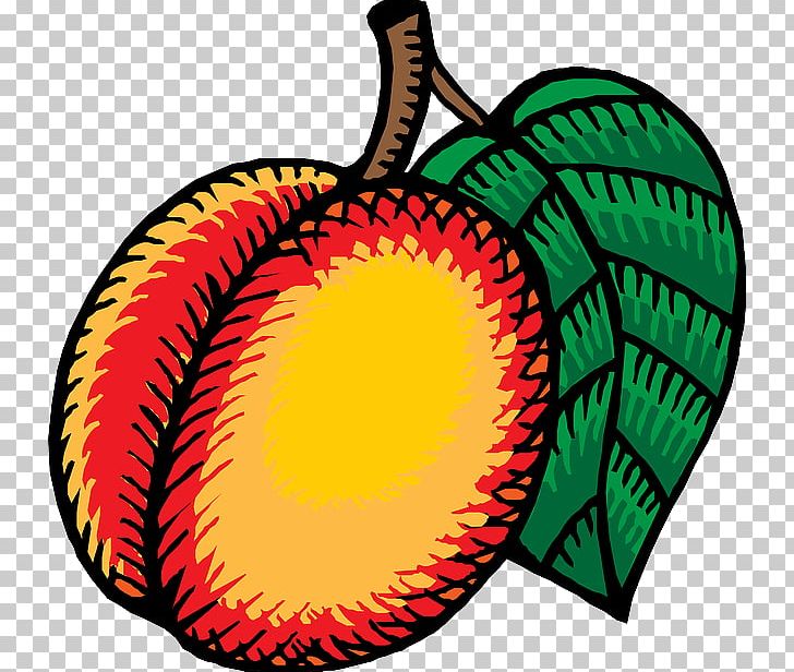 Nectarine PNG, Clipart, Cartoon, Circle, Clip Art, Coloring Book, Download Free PNG Download