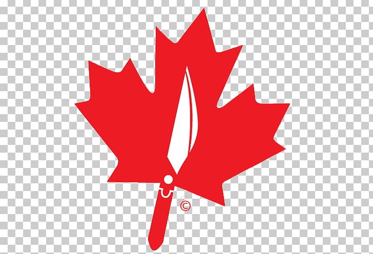 Permanent Residency In Canada Immigration PNG, Clipart, Canada, Flower, Flowering Plant, Government Of Canada, Immigration Free PNG Download
