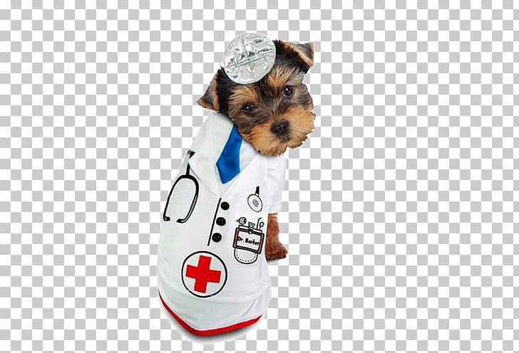 Dog Puppy Halloween Costume PNG, Clipart, Carnivoran, Claws, Companion Dog, Costume Party, Dog Breed Free PNG Download