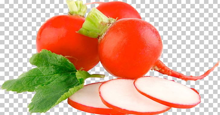 Radish PNG, Clipart, Radish Free PNG Download